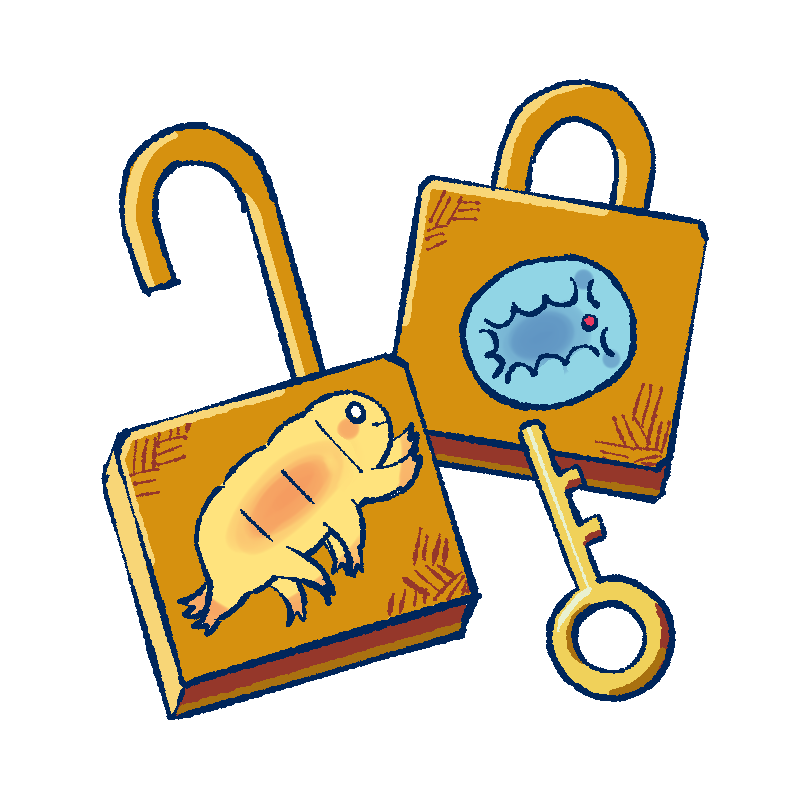 公開データと非公開データのイラスト