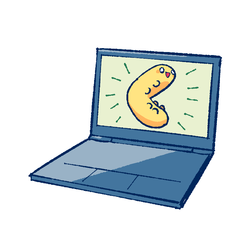 サイト全体を表すパソコンのイラスト