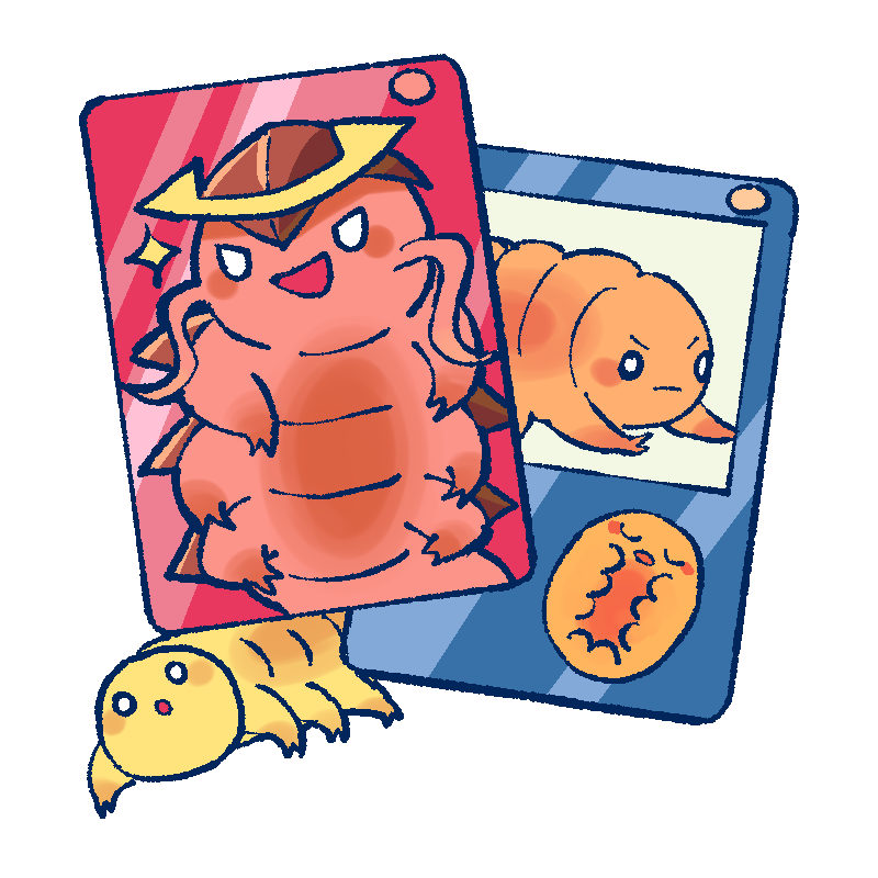 クマムシ図鑑カードのイラスト